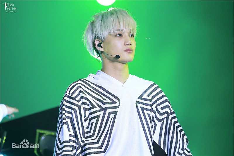 金钟仁(KAI（官方艺名）， ， （韩文名），Kim Jong In)舞台照素颜照相册