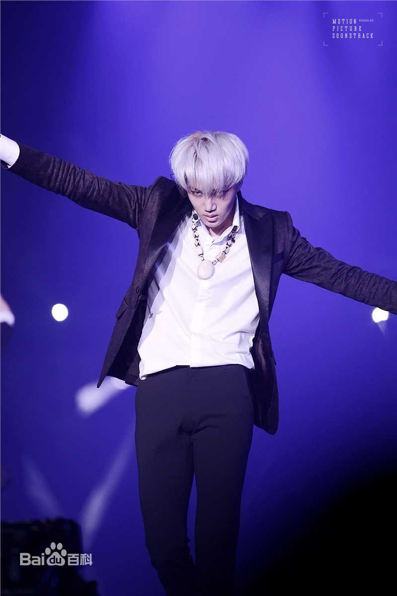 金钟仁(KAI（官方艺名）， ， （韩文名），Kim Jong In)舞台照素颜照相册