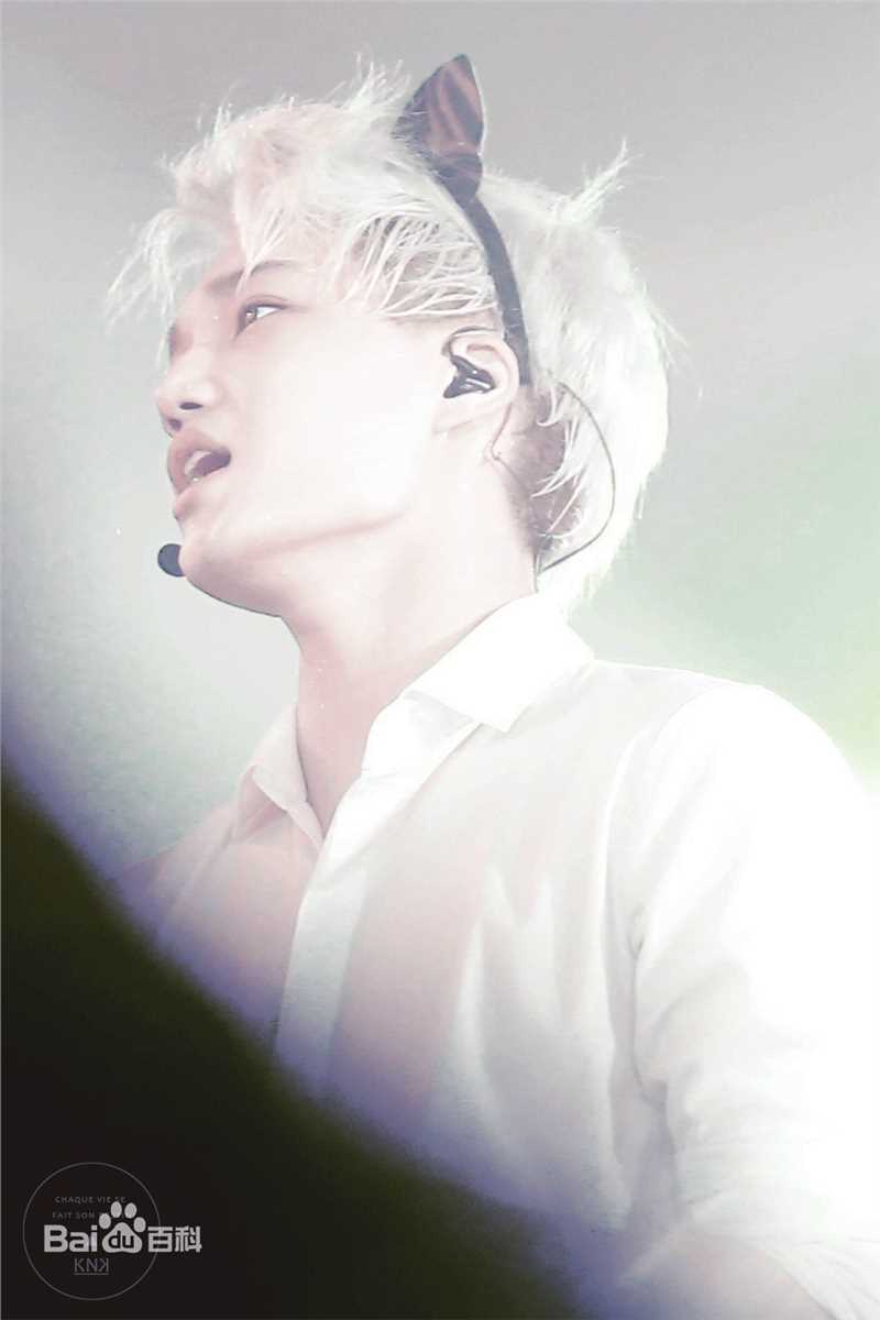 金钟仁(KAI（官方艺名）， ， （韩文名），Kim Jong In)舞台照素颜照相册