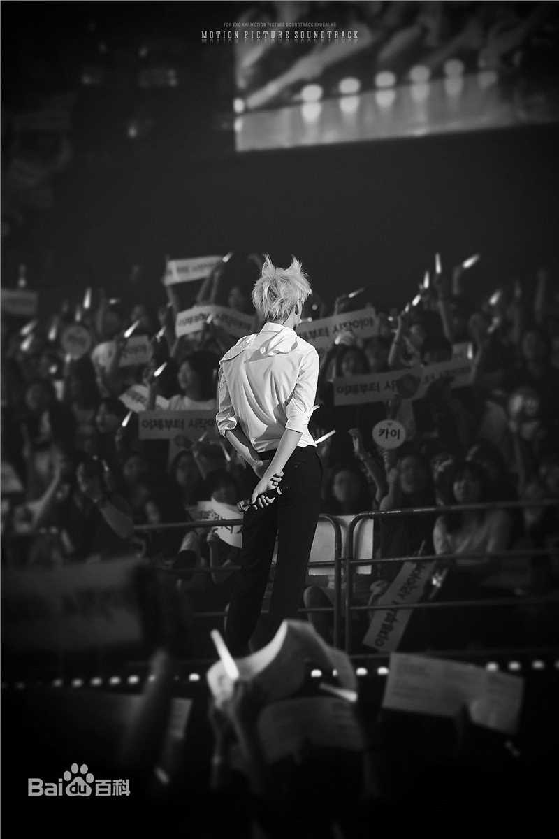 金钟仁(KAI（官方艺名）， ， （韩文名），Kim Jong In)舞台照素颜照相册