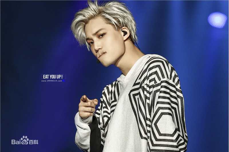 金钟仁(KAI（官方艺名）， ， （韩文名），Kim Jong In)舞台照素颜照相册