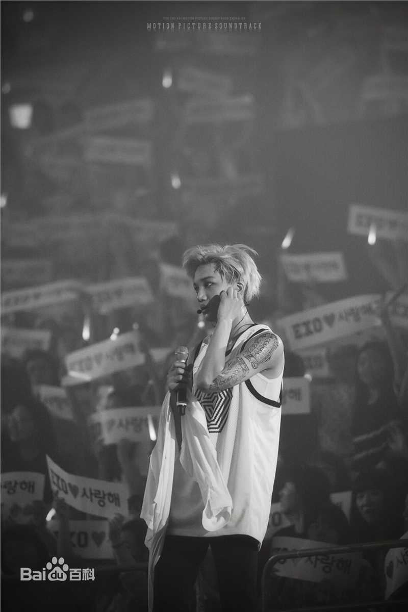 金钟仁(KAI（官方艺名）， ， （韩文名），Kim Jong In)舞台照素颜照相册