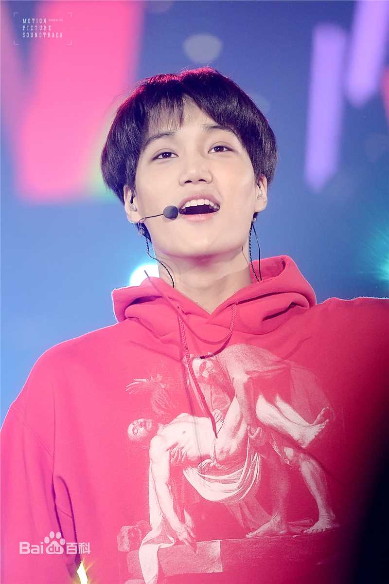 金钟仁(KAI（官方艺名）， ， （韩文名），Kim Jong In)舞台照素颜照相册