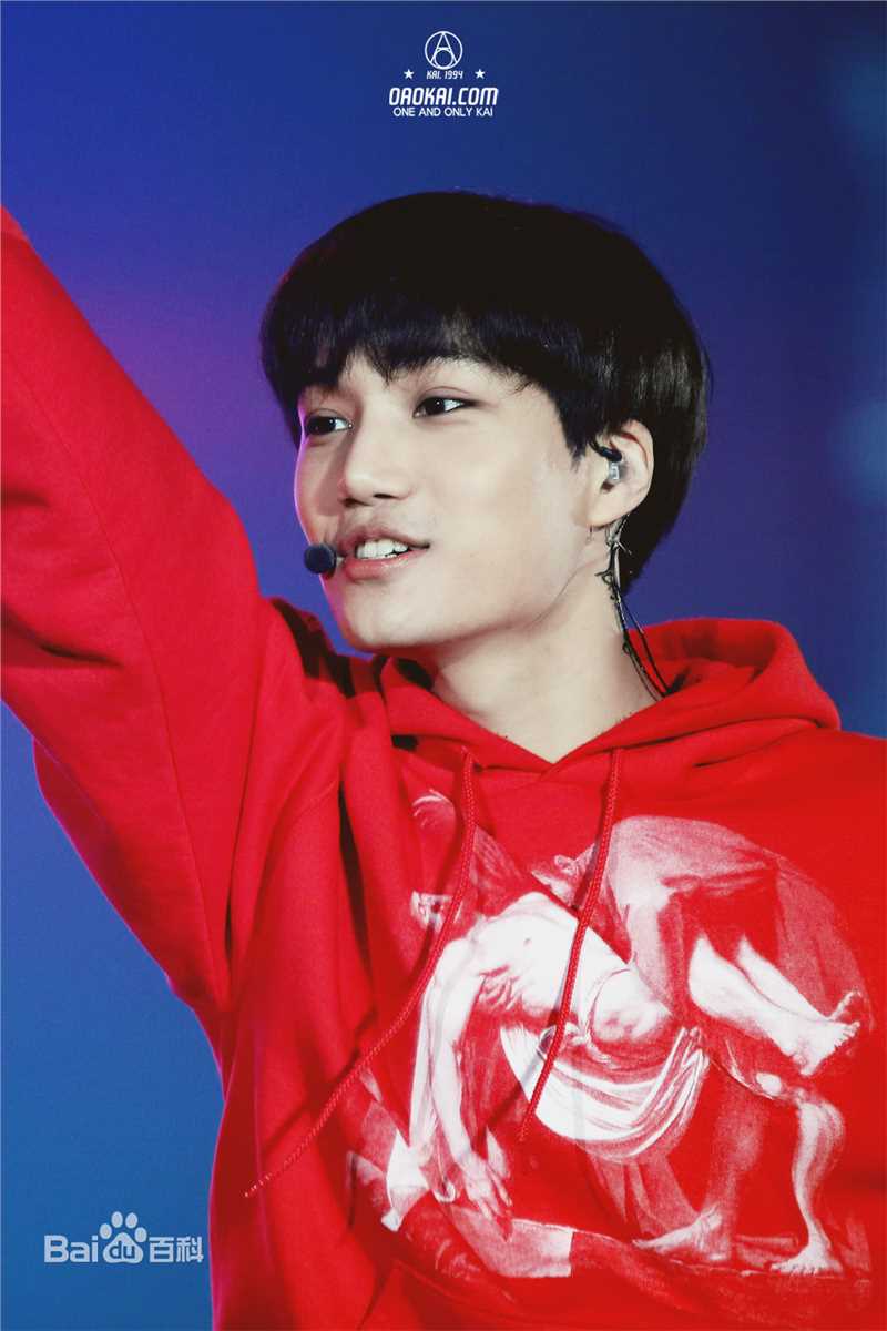 金钟仁(KAI（官方艺名）， ， （韩文名），Kim Jong In)舞台照素颜照相册