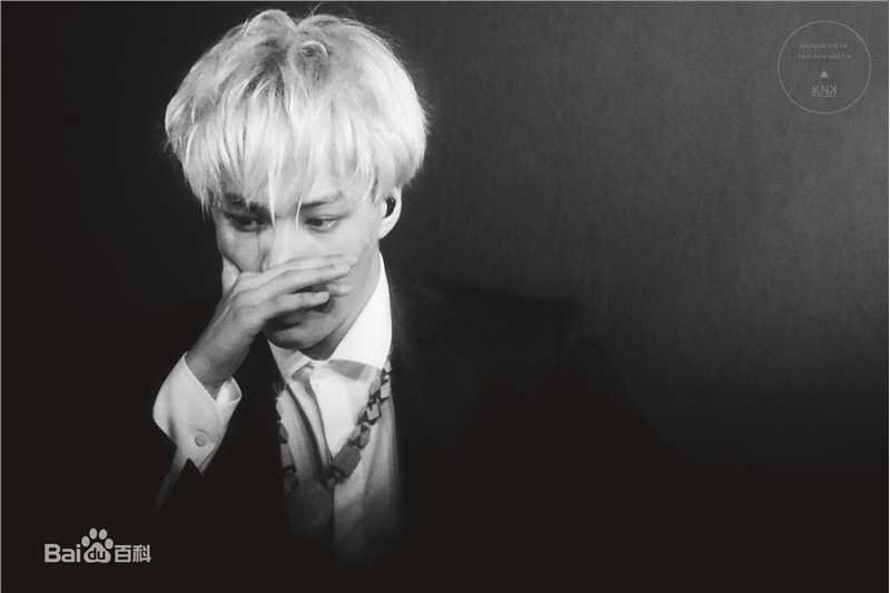 金钟仁(KAI（官方艺名）， ， （韩文名），Kim Jong In)舞台照素颜照相册