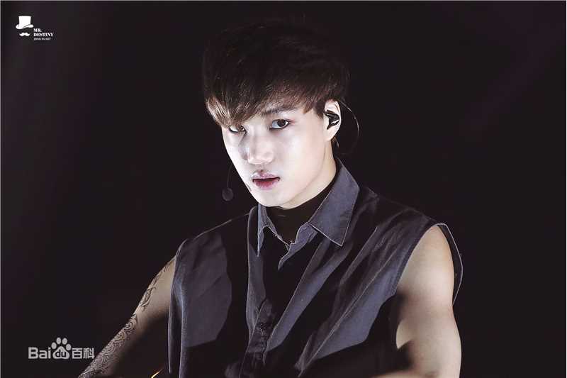 金钟仁(KAI（官方艺名）， ， （韩文名），Kim Jong In)舞台照素颜照相册