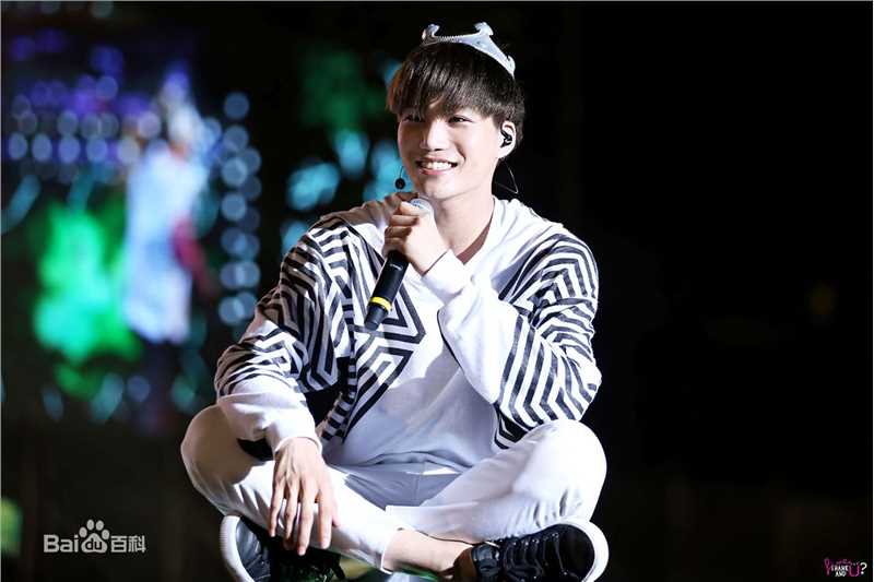 金钟仁(KAI（官方艺名）， ， （韩文名），Kim Jong In)舞台照素颜照相册