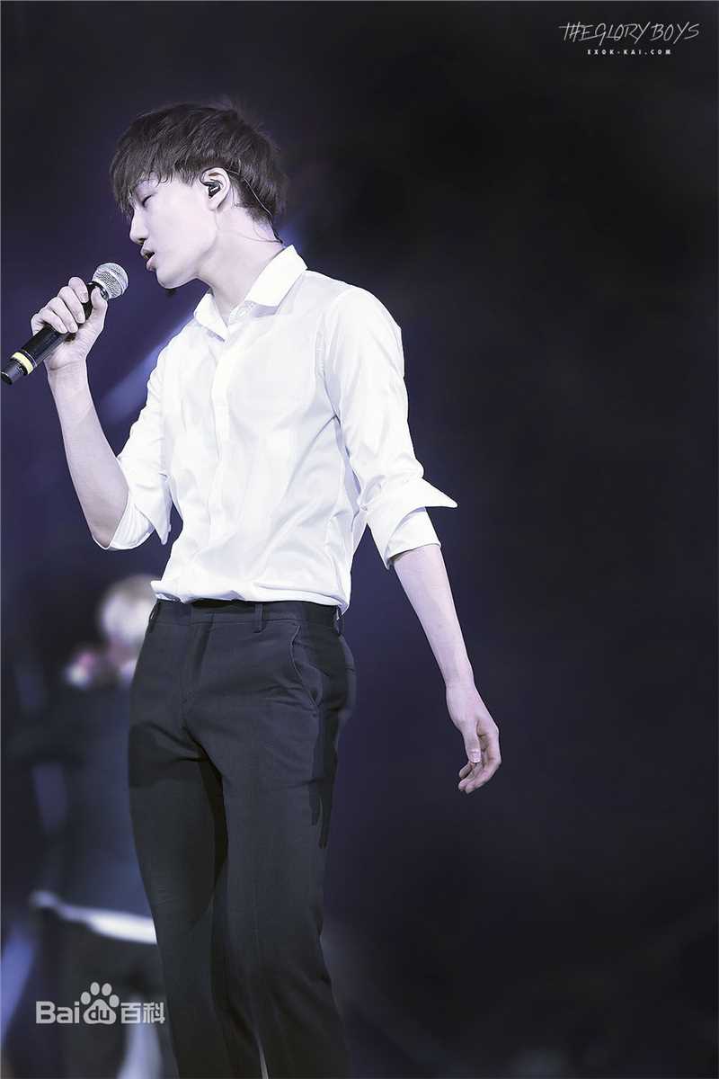 金钟仁(KAI（官方艺名）， ， （韩文名），Kim Jong In)舞台照素颜照相册