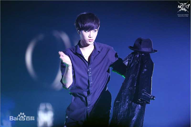 金钟仁(KAI（官方艺名）， ， （韩文名），Kim Jong In)舞台照素颜照相册