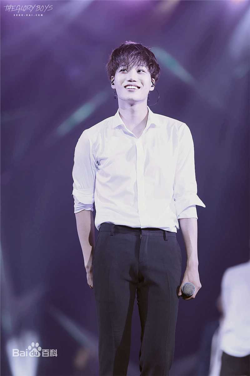 金钟仁(KAI（官方艺名）， ， （韩文名），Kim Jong In)舞台照素颜照相册