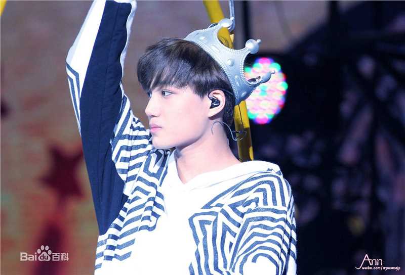 金钟仁(KAI（官方艺名）， ， （韩文名），Kim Jong In)舞台照素颜照相册