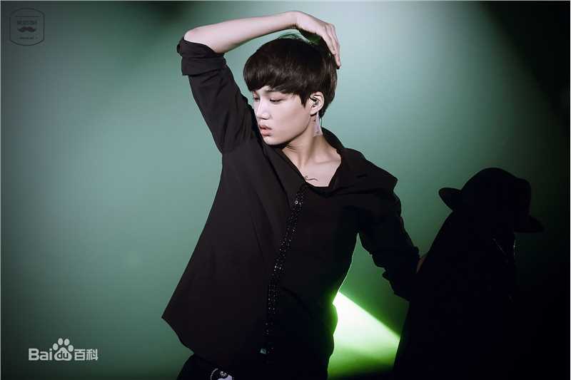 金钟仁(KAI（官方艺名）， ， （韩文名），Kim Jong In)舞台照素颜照相册