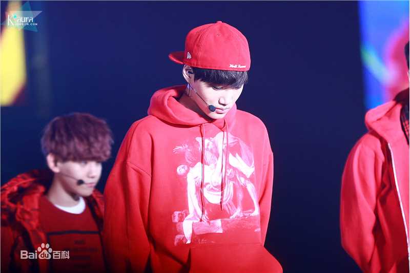 金钟仁(KAI（官方艺名）， ， （韩文名），Kim Jong In)舞台照素颜照相册