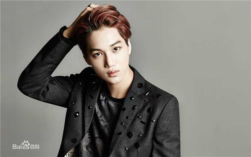 最全金钟仁(KAI（官方艺名）， ， （韩文名），Kim Jong In)壁纸