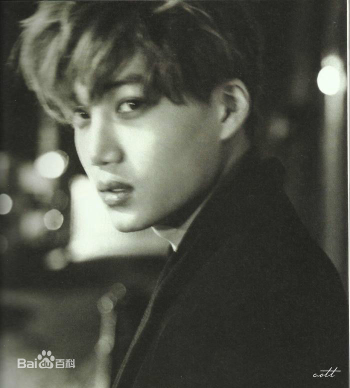 最全金钟仁(KAI（官方艺名）， ， （韩文名），Kim Jong In)壁纸