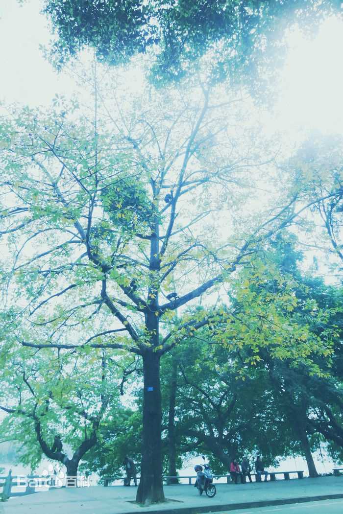 朴秀真(Park Soojin)前后照片