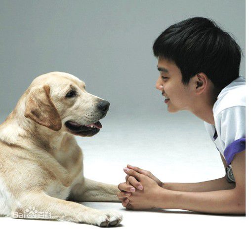 最优质俞承豪(,Yoo Seung Ho,ユ スンホ)精彩图册