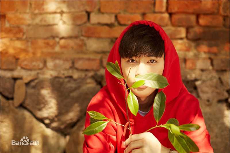 王佑硕最新壁纸