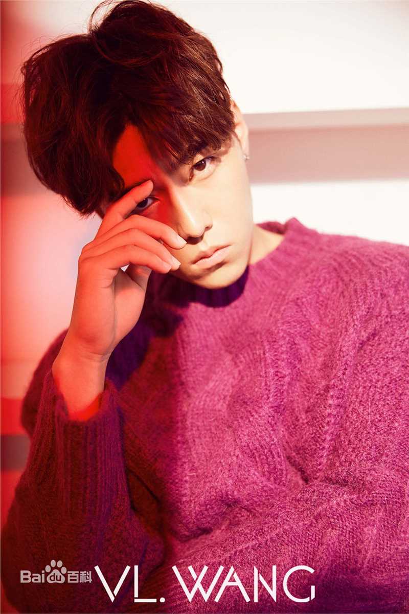 赵东泽高清VL.WANG杂志大片图集