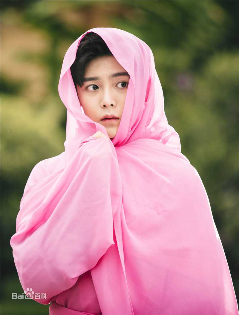 精选侯明昊(Neo)在《西游记女儿国》中的图册