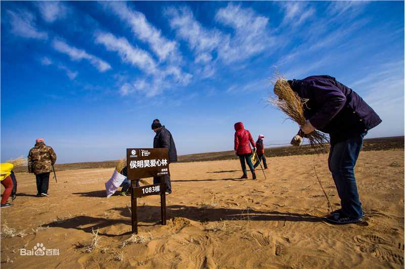 侯明昊(Neo)爱心林前后照片