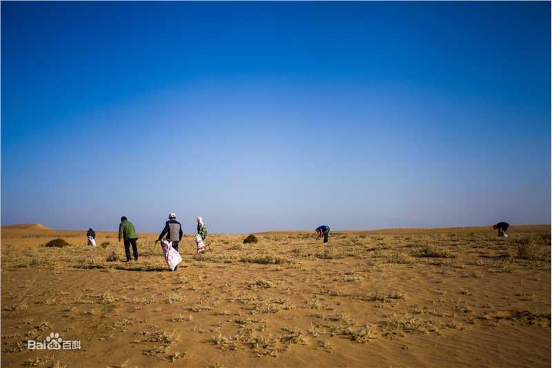 侯明昊(Neo)爱心林前后照片