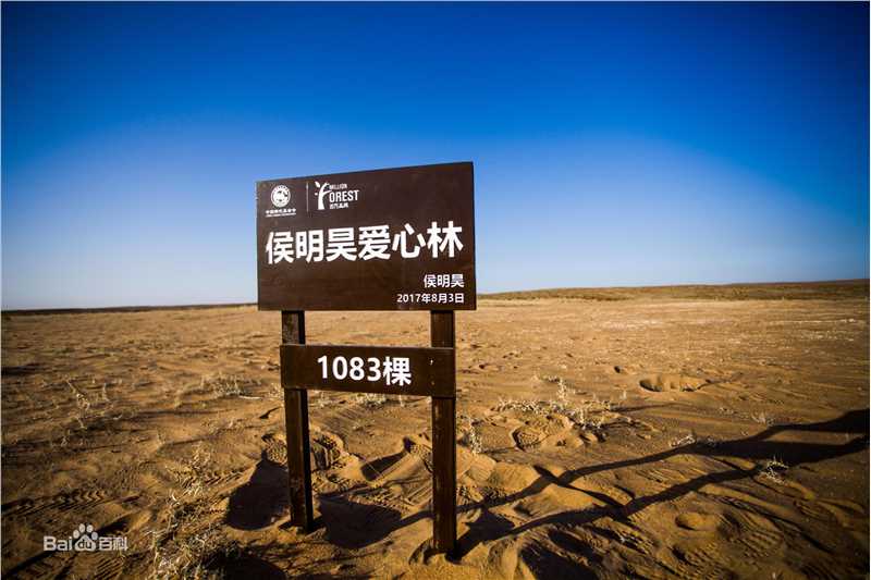 侯明昊(Neo)爱心林前后照片