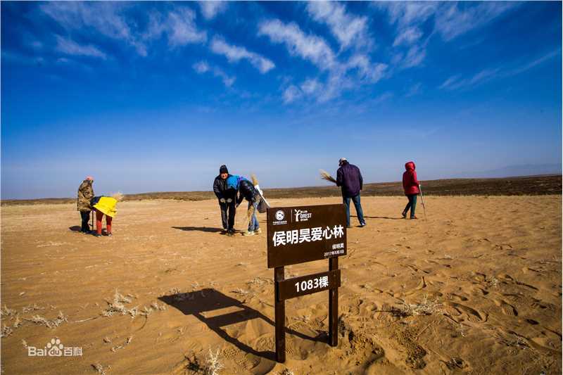 侯明昊(Neo)爱心林前后照片