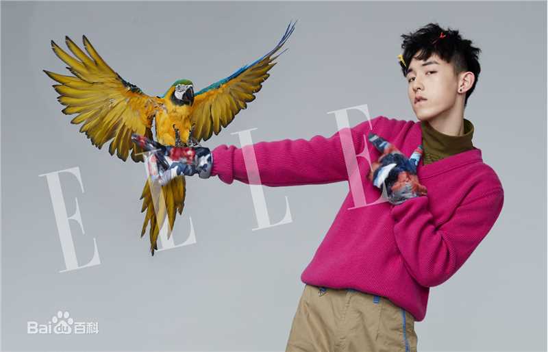 郭俊辰在《elle》中的