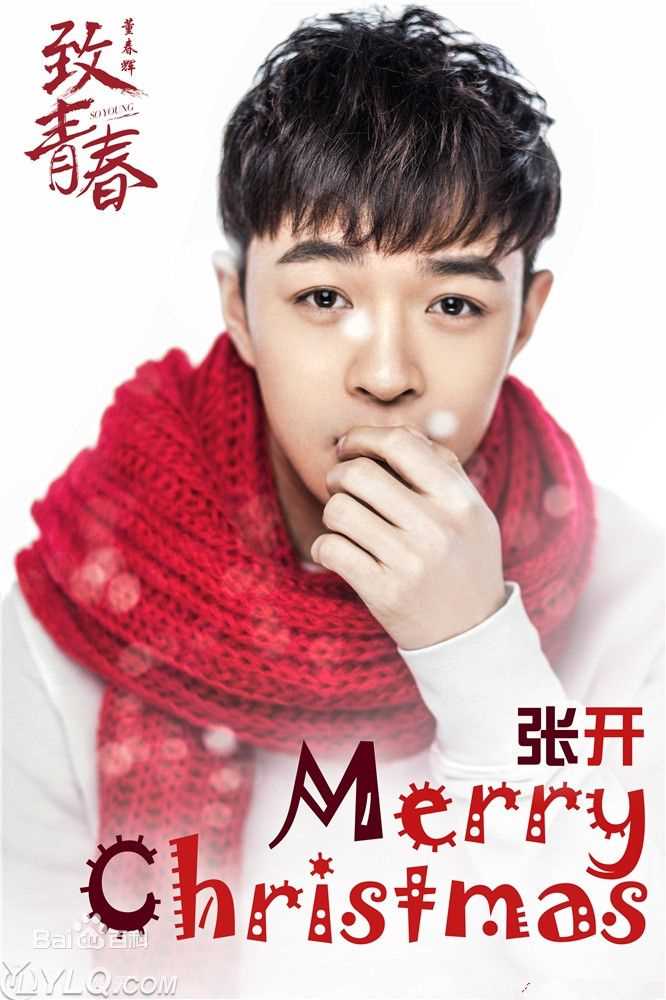 董春辉致青春图册