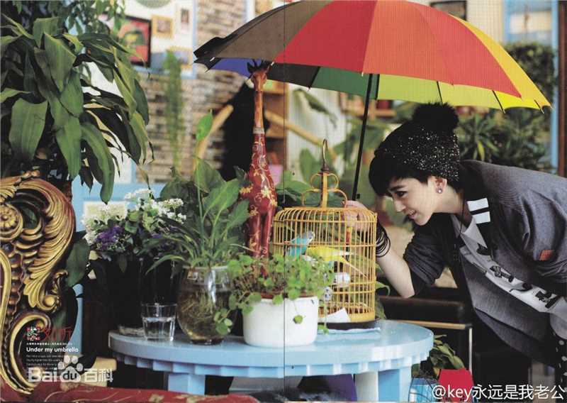 刘忻(Moraynia（中文音译：莫莱妮亚）)杂志