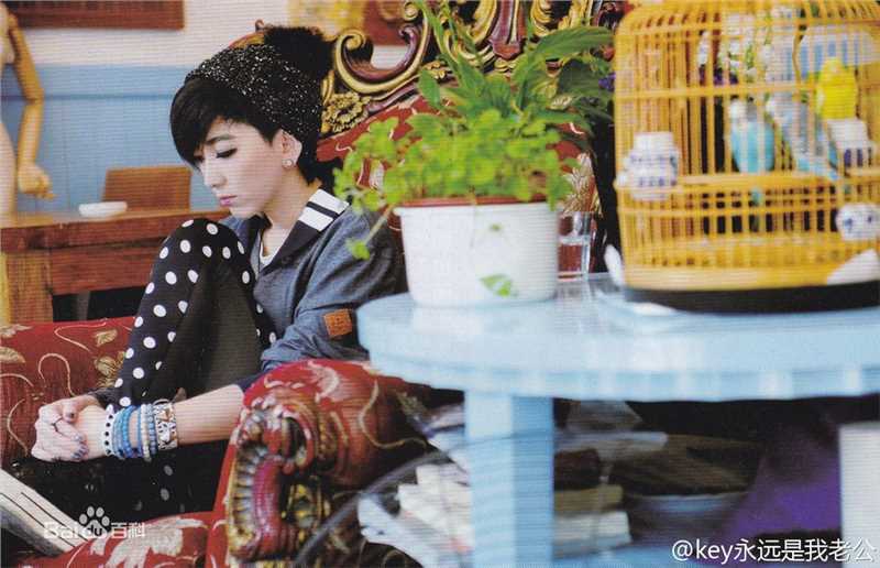 刘忻(Moraynia（中文音译：莫莱妮亚）)杂志