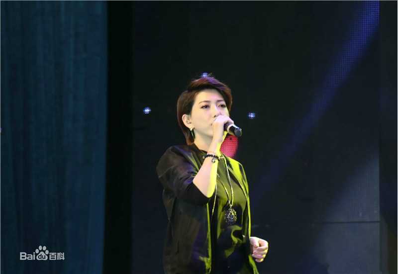 刘忻(Moraynia（中文音译：莫莱妮亚）)2015.3.17贵州贵阳歌友会壁纸壁纸