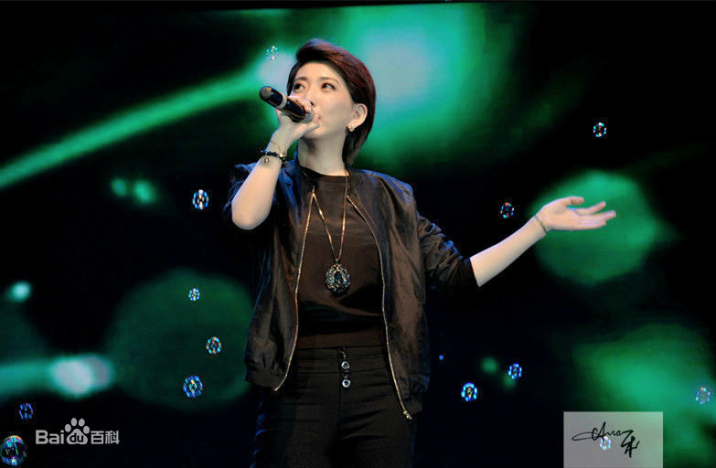 刘忻(Moraynia（中文音译：莫莱妮亚）)2015.3.17贵州贵阳歌友会壁纸壁纸