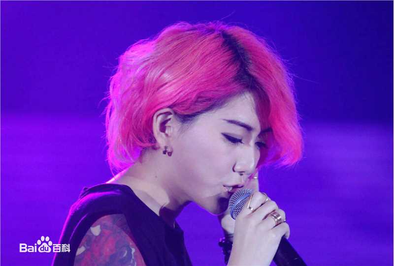 刘忻(Moraynia（中文音译：莫莱妮亚）)2015.5.22河南郑州歌友会壁纸壁纸