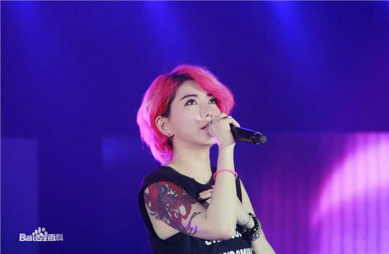 刘忻(Moraynia（中文音译：莫莱妮亚）)2015.5.22河南郑州歌友会壁纸壁纸