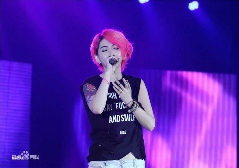 刘忻(Moraynia（中文音译：莫莱妮亚）)2015.5.22河南郑州歌友会壁纸壁纸