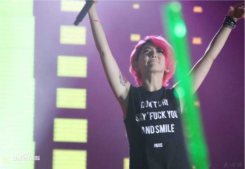 刘忻(Moraynia（中文音译：莫莱妮亚）)2015.5.22河南郑州歌友会壁纸壁纸