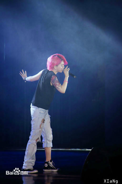 刘忻(Moraynia（中文音译：莫莱妮亚）)2015.5.22河南郑州歌友会壁纸壁纸