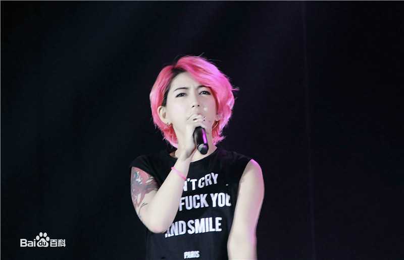 刘忻(Moraynia（中文音译：莫莱妮亚）)2015.5.22河南郑州歌友会壁纸壁纸