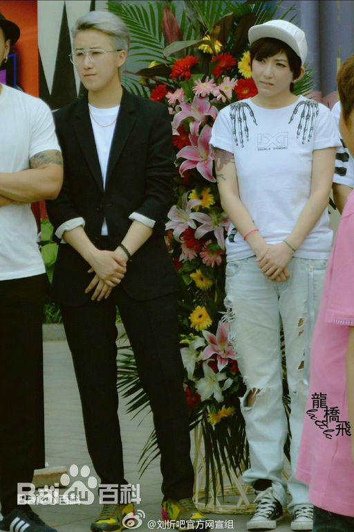 最全刘忻(Moraynia（中文音译：莫莱妮亚）)在2015.5.28《热舞之灵》开机发布会中的壁纸