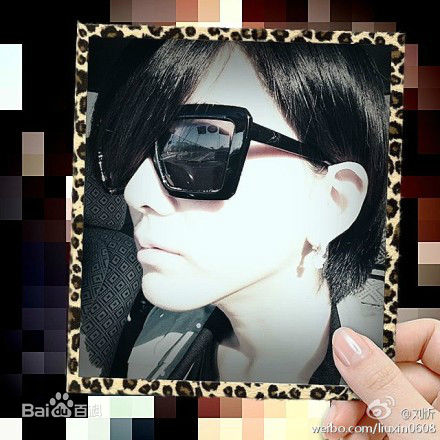 刘忻(Moraynia（中文音译：莫莱妮亚）)生活照（2013.1.1-2013.12.31）图片图集