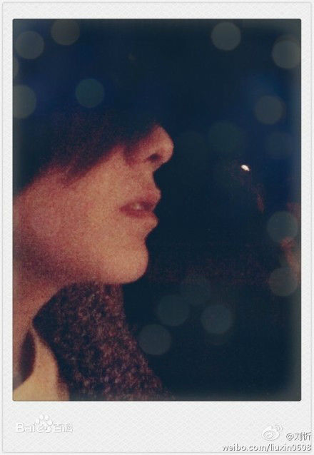 刘忻(Moraynia（中文音译：莫莱妮亚）)生活照（2013.1.1-2013.12.31）图片图集