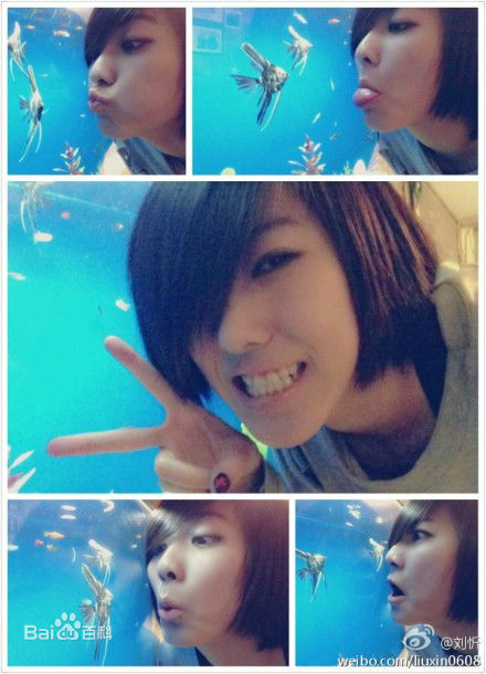 刘忻(Moraynia（中文音译：莫莱妮亚）)生活照（2013.1.1-2013.12.31）图片图集