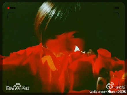 刘忻(Moraynia（中文音译：莫莱妮亚）)生活照（2013.1.1-2013.12.31）图片图集