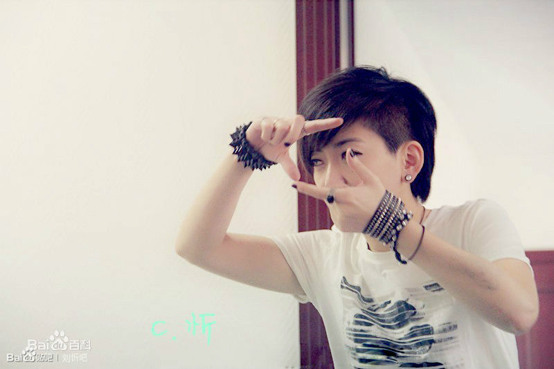 刘忻(Moraynia（中文音译：莫莱妮亚）)做客各类专访（2013.1.1-2013.12.31）素颜照相册