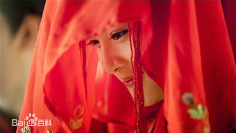 最新赵圆瑗在电视剧《精忠岳飞》饰演娟儿中的壁纸