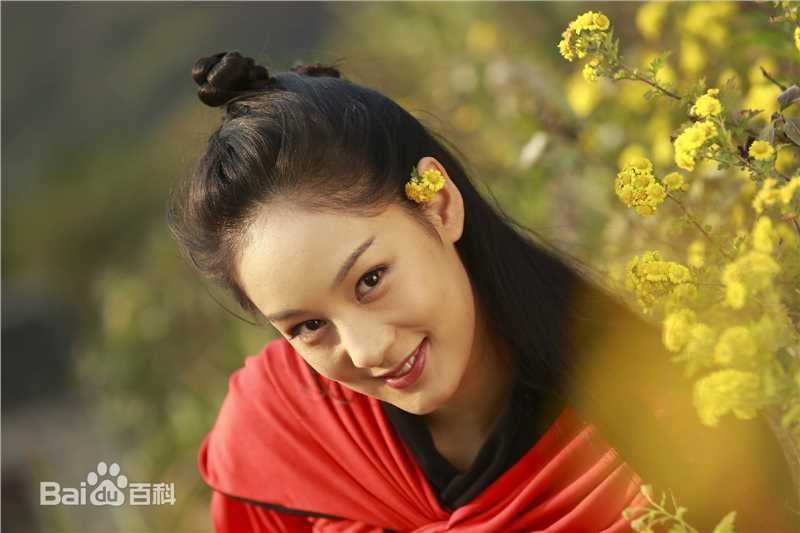 赵圆瑗天龙八部-木婉清前后照片