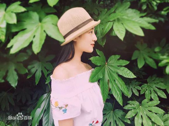 赵圆瑗2016年照片壁纸壁纸