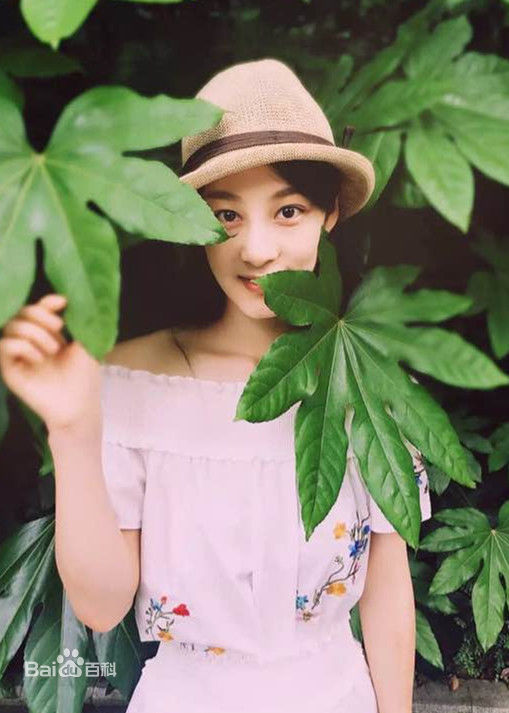 赵圆瑗2016年照片壁纸壁纸